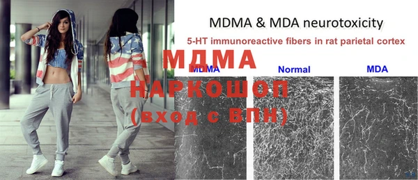 молекула духа Бугульма