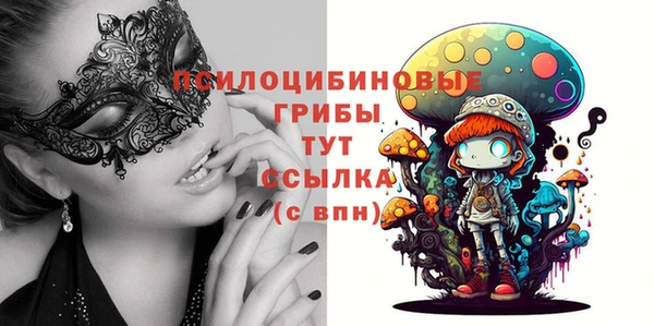 молекула духа Бугульма