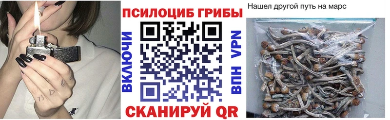 Галлюциногенные грибы Magic Shrooms  Полтавская 